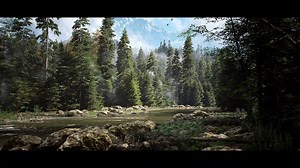 UE5 森林要素(森林环境、程序山林、景观)Cinematic Walkthrough in Highland Forest - Forest Ambience