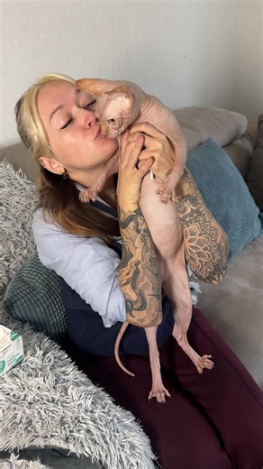 Nimbus & Cyrus might not have fur, but that means their skin, ears and tummies need extra care… which is exactly why I never cut corners on what I feed them. AD If you’ve got a cat and want to try it, you can get 50% off with code CRISSIE50. @KatKin.Club 🔗 link in bio #sphynxcat #hairlesscat