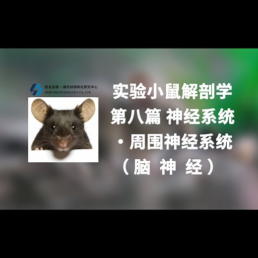 实验小鼠解剖学丨第八篇 神经系统·脑神经