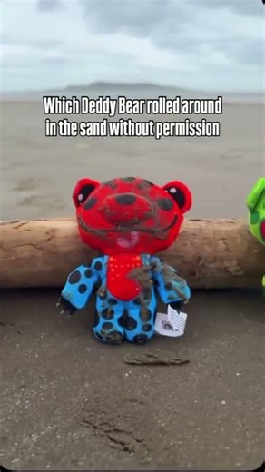 Deddy Bears vs SAND! 🤣🌊