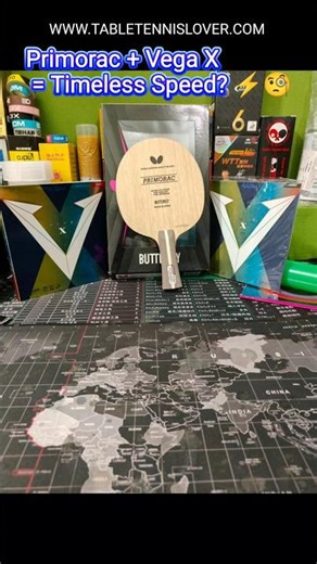 Primorac Wood + Vega X Combo = Classic Power Meets Modern Control! 🏓🔥