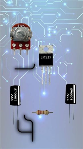 Variable Voltage Power Supply Using LM317 #diy #electronic #howtomake