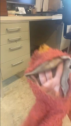 elmo world kids flims