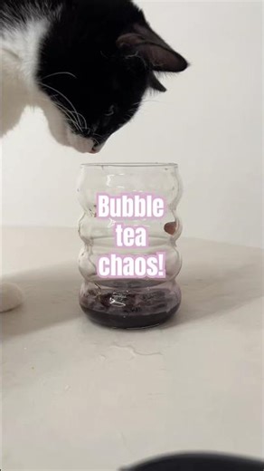 I tried making bubble tea but my cat had other plans! #cat #boba #cutecat #funnycats #fyp #asmr #fun