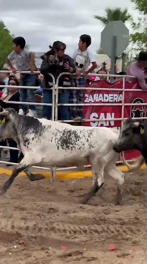 Sorpréndete con Coahuila.