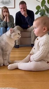 Cat Screams Inches From Baby… Parents Just Watch 😳 | FurReal