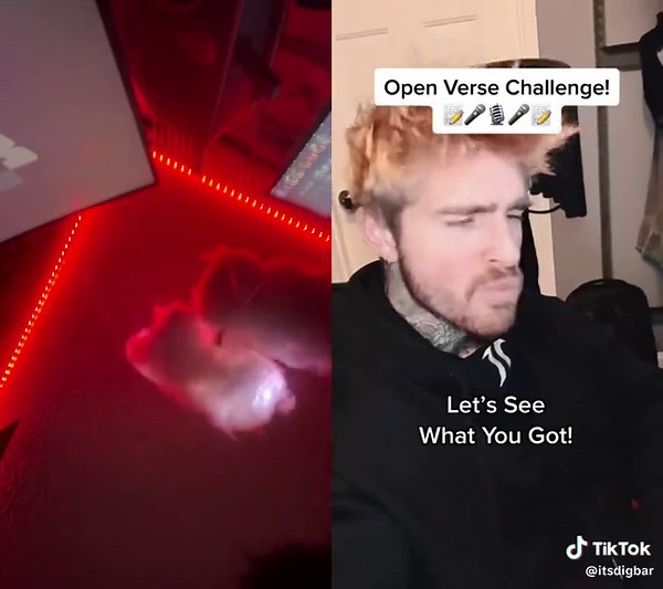 #fup#sus#rap#digbar | DigBar