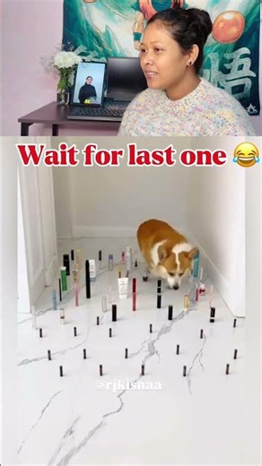 Dogesh bhai ka ilaz jutta | 😂 #shorts #funnydogs #viral