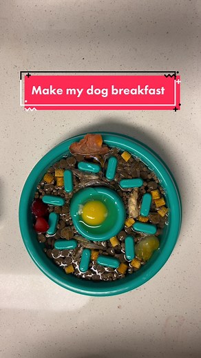 Delicious Dog Breakfast Recipes: Homemade Ideas for Your Pup