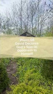 Psalm 66: David Declares God’s Special Goodness to Himself #thekingdombookshelf #readingbible