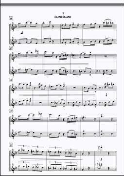 Saxophone Duet - Calypso Collapso