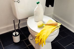 There's One Big Problem With That Viral "Self-Cleaning" Toilet Hack