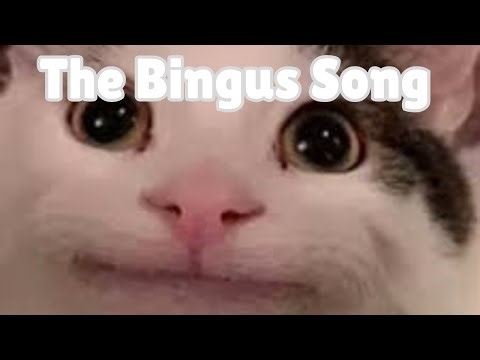 The Bingus Song - Official Music Video