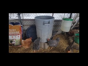 DIY 45 gal Garbage Can Chicken Feeder - Easy, Cheap, and Quick Project!