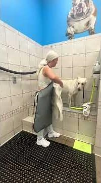 Pet Supplies Plus Self Wash Station!