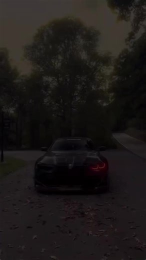 Dinis Pereira on TikTok