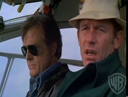 Flood (TV Movie 1976)