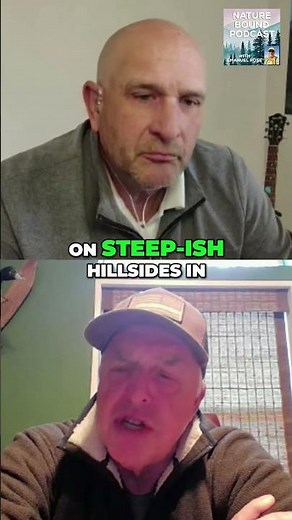 Master Turkey Hunting Locate Roosting Spots in National Forests