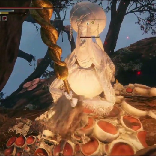 Most Evil Thing you can do on Miquella's Haligtree Elden Ring Seamless Coop