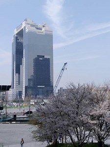 Umeda Sky Building in Osaka- スカイビル　with Sakura