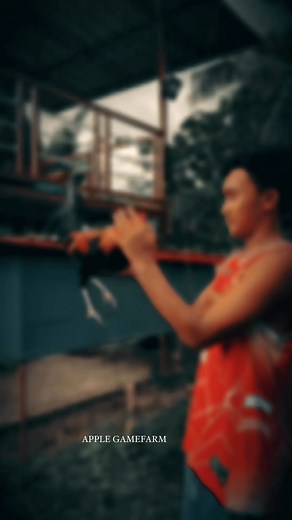 324K views · 7.3K reactions | Parang di naman 藍藍藍 #applegamefarm #NegosyoHindiBisyo | Apple Game Farm | Facebook