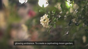 How To Plant A Moon Garden