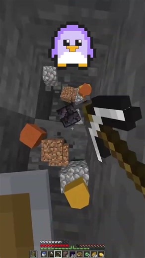 I Beat the Ender Dragon for the First Time!