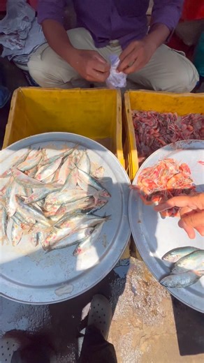 இன்னைக்கு ராமன்புதூர் மீன் மார்க்கெட்டில் மீன் ரேட் இவ்வளவா?Nagercoil Kanyakumari fish rate