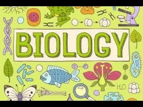 TCE Anglais L2 : biology 💗