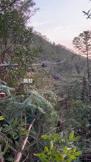 สล็อต on TikTok