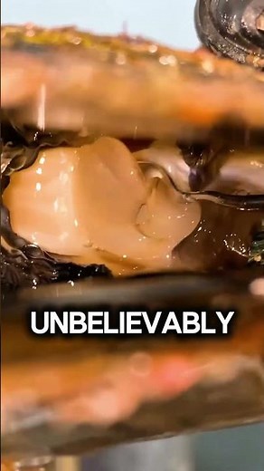 This Is How Pearls Form Inside Oysters!