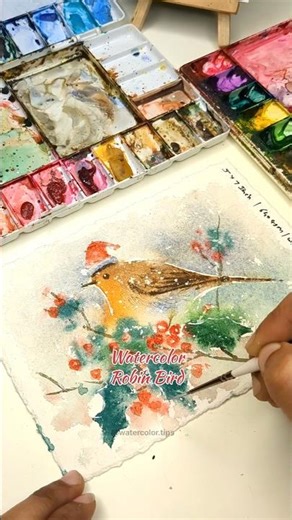 How to Paint Watercolour Robin Bird | Watercolor Christmas Card #painting #watercolor #birdpainting