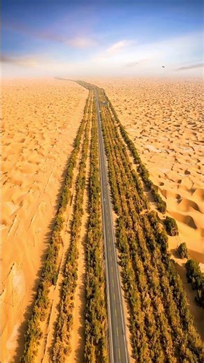 China Turned a Desert into a Green Highway | China Desert Highway | #shorts