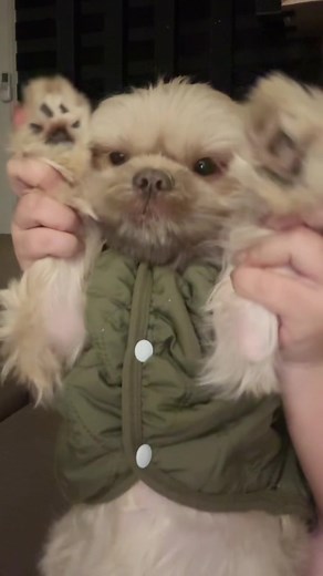 Dopey & Mamita 🐻 (@_dopey)’s videos with original sound - ℕ𝕠𝕤𝕥𝕒𝕝𝕘𝕚𝕒 𝕧𝕚𝕓𝕖߷