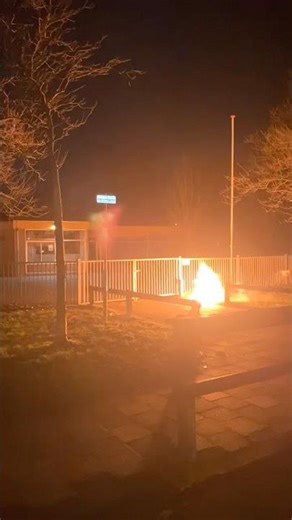 3” in pringle bus #c6 #shell #dumbum #oudennieuw