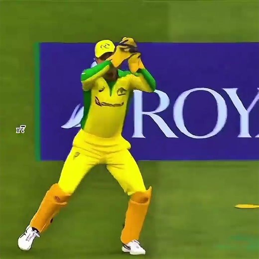 #starc ☠️☠️smooth edit😳😳