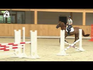 Stilspringen richtig reiten - alles was du für das Parcoursreiten wissen musst