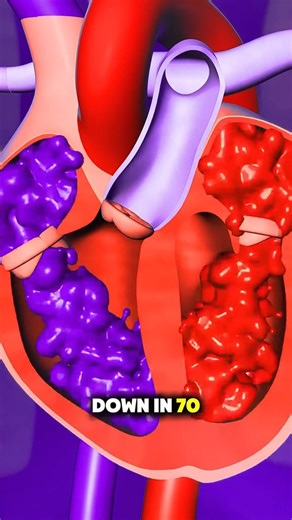 How Heart Pimps Blood? (3D Animation) #facts #randomfacts #learnontiktok #curiosity #satisfying #satisfyingvideos #MedicalEducation #medicalfacts | MindfulFacts