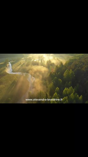 Un petit cadeau de douceur 💫 Un instant suspendu, une bulle de douceur rien qu’à toi. Ferme les yeux… respire… et laisse-toi guider vers un moment de calme, de légèreté, de délicatesse… Parce qu’au milieu du tourbillon du quotidien, tu mérites de t’arrêter un instant. De t’offrir cette parenthèse bienfaisante. De te reconnecter à toi, tout simplement. 🎀 Je t’offre aujourd’hui une courte visualisation, un voyage intérieur, pour déposer les tensions, ralentir le mental et retrouver la paix en to