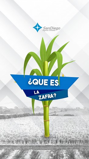 🎥✨ ¿Qué es la zafra? ¡Te lo contamos en 1 minuto! ⏱️🌾 En San Diego vivimos la zafra con pasión, esfuerzo y trabajo en equipo. 💪🔥 En este video te explicamos de forma rápida y sencilla qué significa este período tan importante para nuestra operación… es una temporada clave para miles de familias. 🚜⚙️ #SoySanDiego #Zafra #IngenioSanDiego #ExplicandoLaZafra #TrabajoConPropósito #Agroindustria | Grupo San Diego