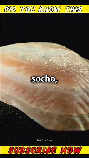 Formation of pearls in oysters #science #sciencefacts #shortsfeed