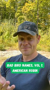 The Bad Bird Names Chronicles, Vol 1: American robin, aka “The Turd Bird.” #bird #birds #birding #birder #wildlife #animal #animals #birdwatch #birdwatching #birdwatcher #nature #ecology #ecosystem #forest #forestry #forester #love | Ethan Tapper