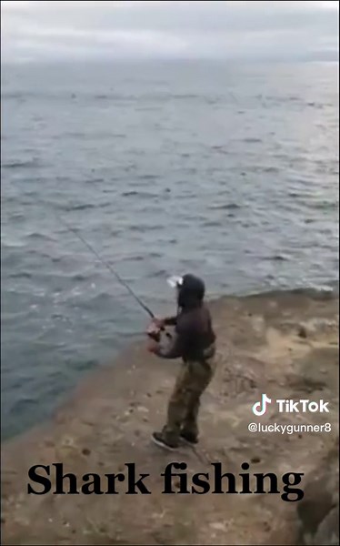 #shark #fishing #islander#chamorro #bigfish #sharkfishing