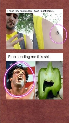 "Funny memes about bad timing moments and random images people keep sending." #viral