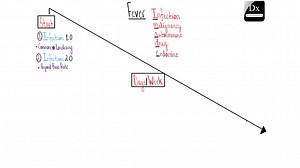 Fever – The Journey