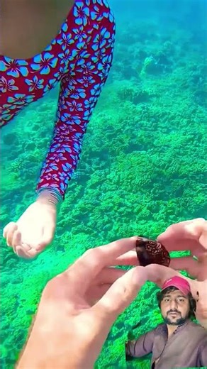 I found a COWRIE SHELL! #shorts