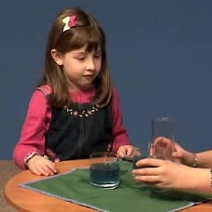 Piaget Conservation Tasks