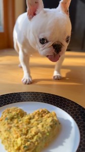 Fresh food has incredible benefits for dogs, both inside and out. Get 60% off your first box and experience them with your dog! | The Farmer's Dog