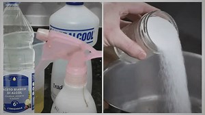 Top 7 Natural Pest Control Methods