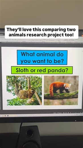K-5 Elementary Library Lessons | New project alert! Grade Level: 3-5 Number of Classes: 2-3 Book recommendation: What Would You Rather Be? A Tiger or a Tiger Shark by... | Instagram
